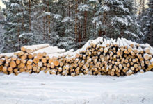 Фото - Дома из зимнего леса – вся правда о преимуществах зимней рубки для строительства домов